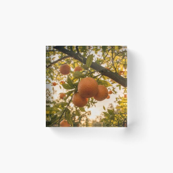 Item preview, Artwork 8337 designed and sold by KaiWaiGallery.