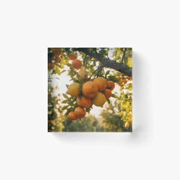 Item preview, Artwork 8340 designed and sold by KaiWaiGallery.