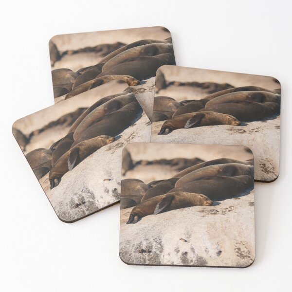 Item preview, Cape fur seals sunbathing in South Africa designed and sold by Gilmore Photography.