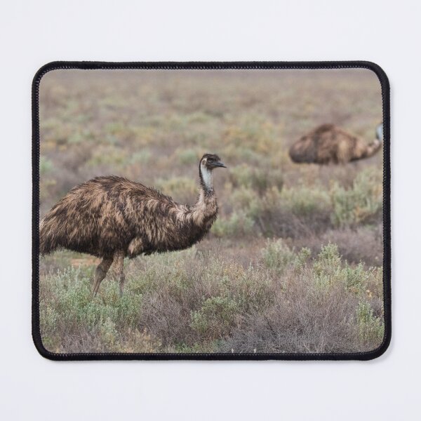 Item preview, Two emus walking through grassland designed and sold by Gilmore Photography.