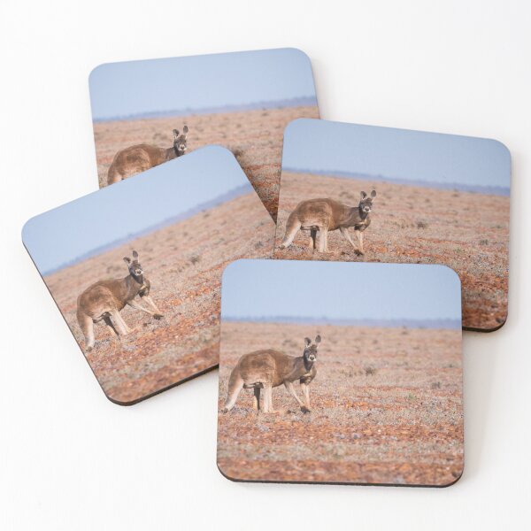 Item preview, A red kangaroo in the Australian outback designed and sold by Gilmore Photography.