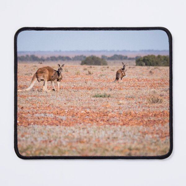 Item preview, Two red kangaroos in the Australian outback designed and sold by Gilmore Photography.