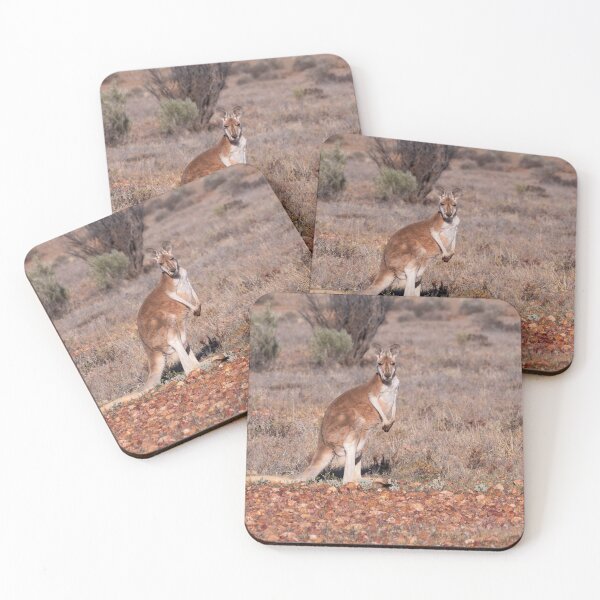 Item preview, A red kangaroo in the Australian outback designed and sold by Gilmore Photography.