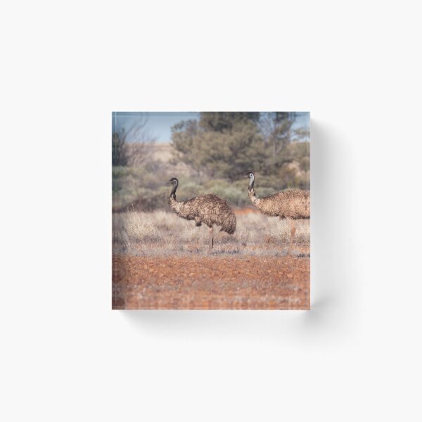 Item preview, Two emus in the Australian outback designed and sold by Gilmore Photography.