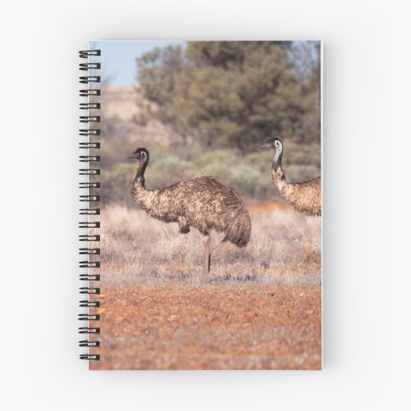 Item preview, Two emus in the Australian outback designed and sold by Gilmore Photography.