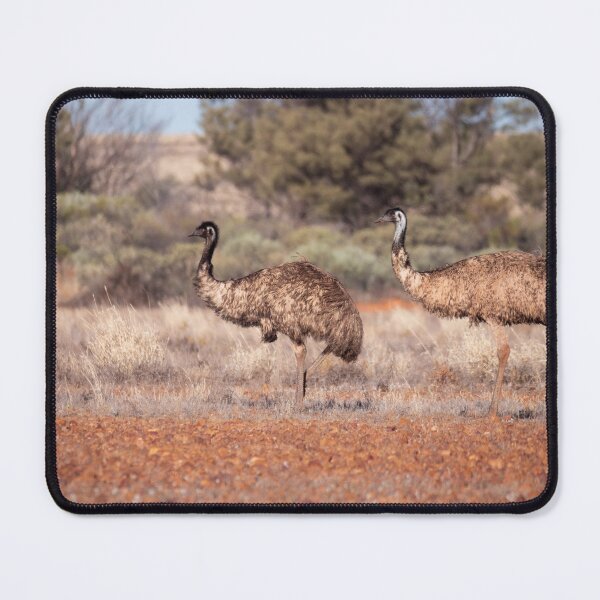 Item preview, Two emus in the Australian outback designed and sold by Gilmore Photography.