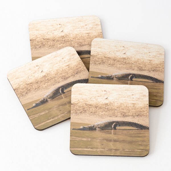 Item preview, A freshwater crocodile in the Kimberley, Western Australia designed and sold by Gilmore Photography.
