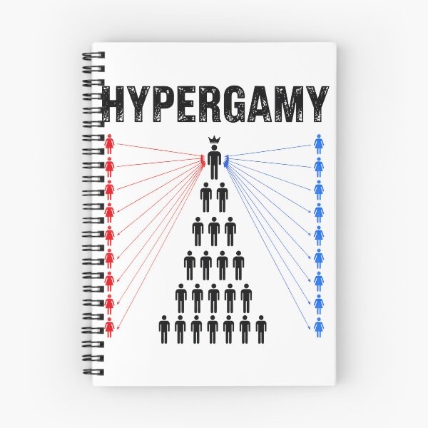 Item preview, Hypergamy Funny Meme Dating Strategy Sarcastic Relationship designed and sold by Cocuninecrew.