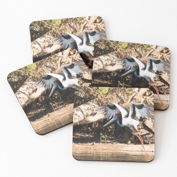 Item preview, A black-necked stork (jabiru) designed and sold by Gilmore Photography.