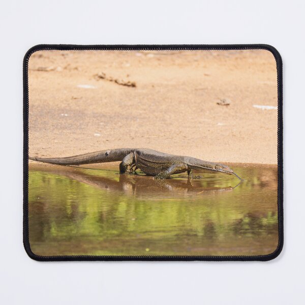 Item preview, A monitor lizard in the Kimberley, Australia designed and sold by Gilmore Photography.