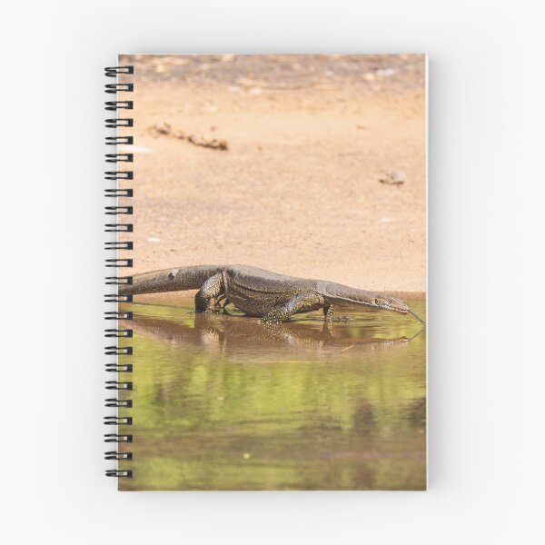 Item preview, A monitor lizard in the Kimberley, Australia designed and sold by Gilmore Photography.