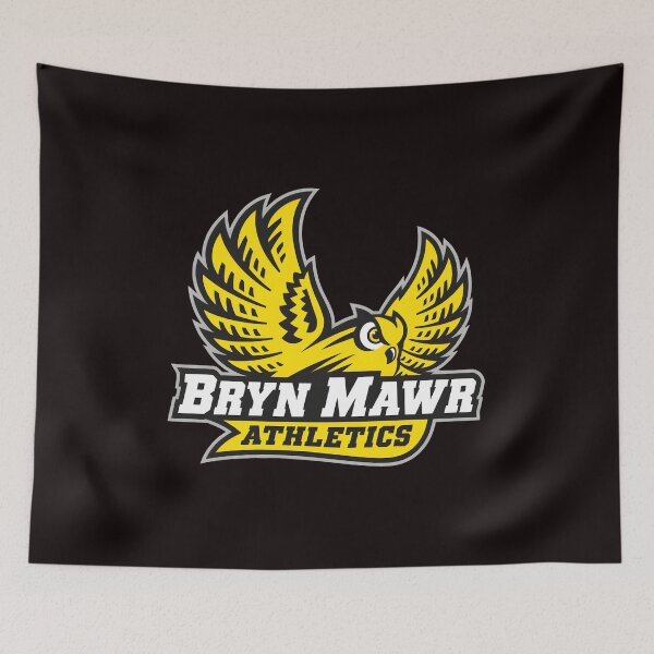 Item preview, Bryn Mawr Owl Athletics  designed and sold by Pixelonersquare.