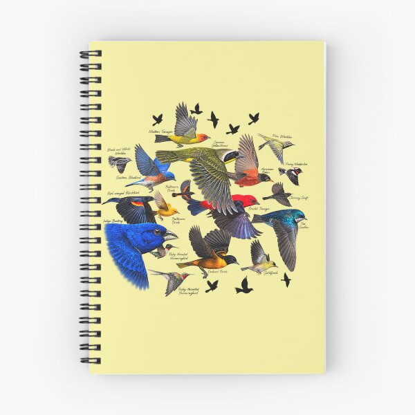 Item preview, Bird Migration Vintage Graphic Nature Wildlife designed and sold by Nature Explore Game.