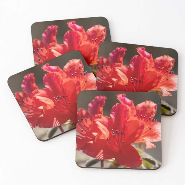 Item preview, Red Rhododendron designed and sold by MirrorsFineArt.