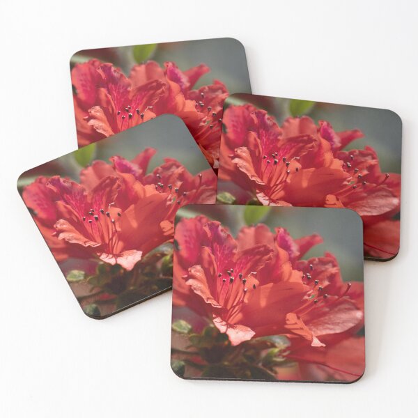 Item preview, Red Azalea designed and sold by MirrorsFineArt.