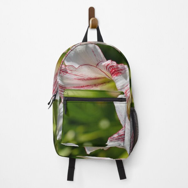 Item preview, Amaryllis Blooms designed and sold by MirrorsFineArt.
