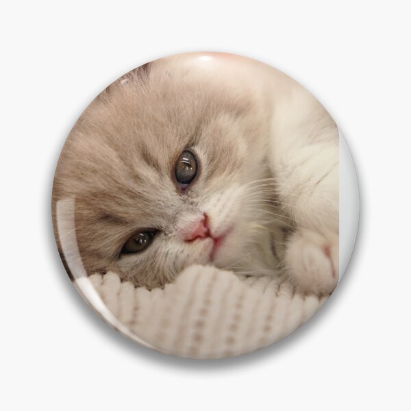 Item preview, Cute Fluffy Kitten Resting on Soft Blanket designed and sold by Tatele.