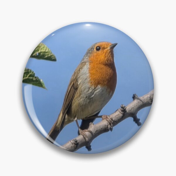 Item preview, Robin against a perfect blue sky designed and sold by BrizzlePix.
