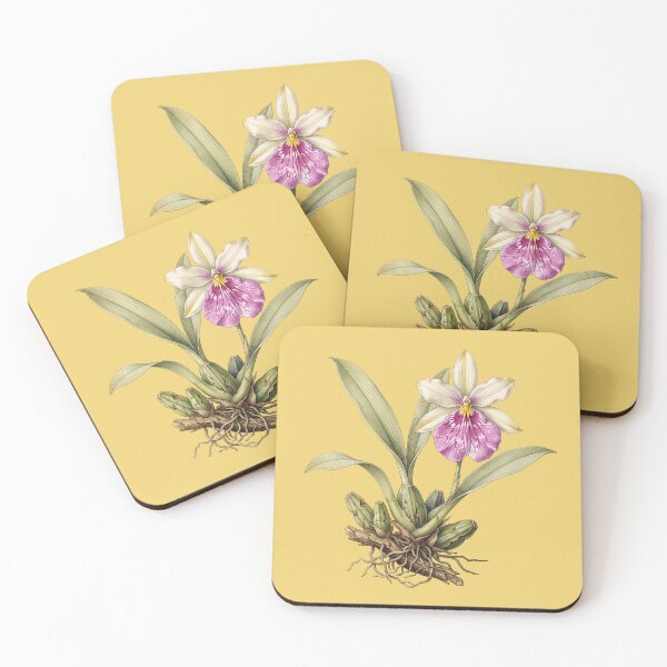 Item preview, The Aristocratic Parasite: Vintage Miltonia Spectabilis Botanical Print designed and sold by FreiherrPK.