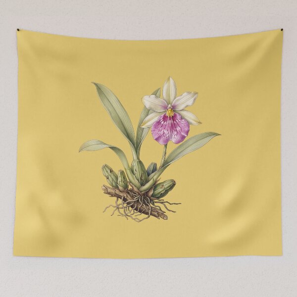 Item preview, The Aristocratic Parasite: Vintage Miltonia Spectabilis Botanical Print designed and sold by FreiherrPK.