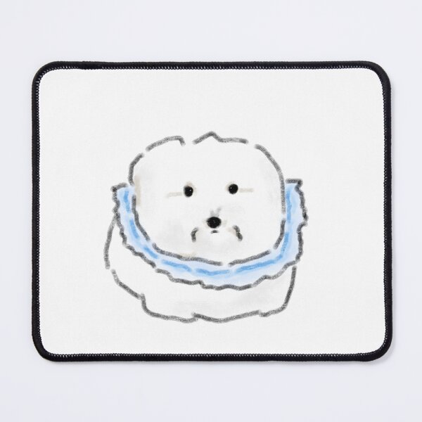 Item preview, White Bichon Frise Blue Ruffle Collar designed and sold by raun.draw.