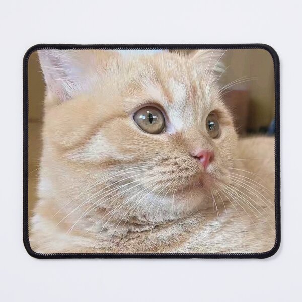 Item preview, Cute cat ameliatra 6 designed and sold by Ameliatra Design.