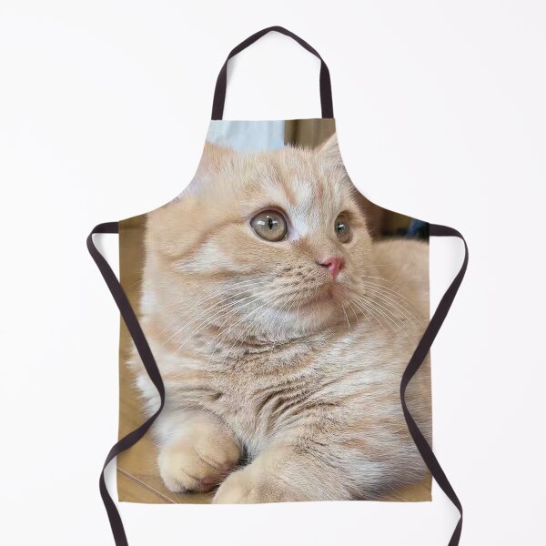 Item preview, Cute cat ameliatra 6 designed and sold by Ameliatra Design.