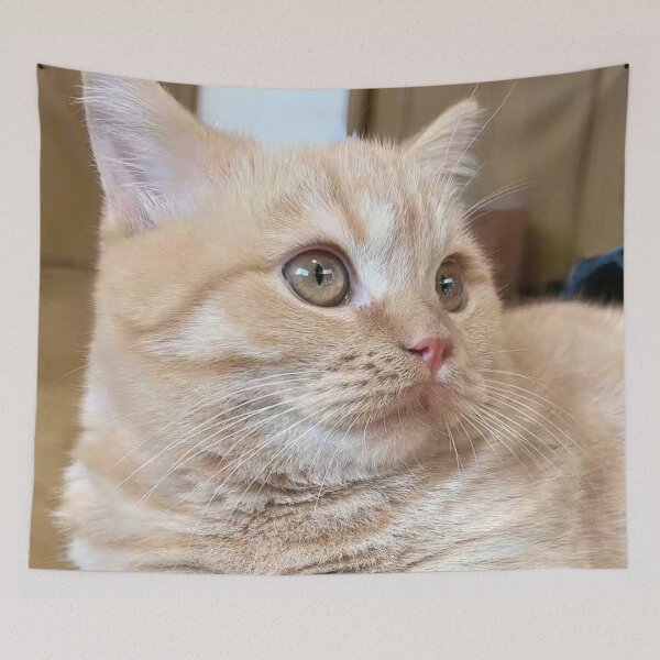 Item preview, Cute cat ameliatra 6 designed and sold by Ameliatra Design.