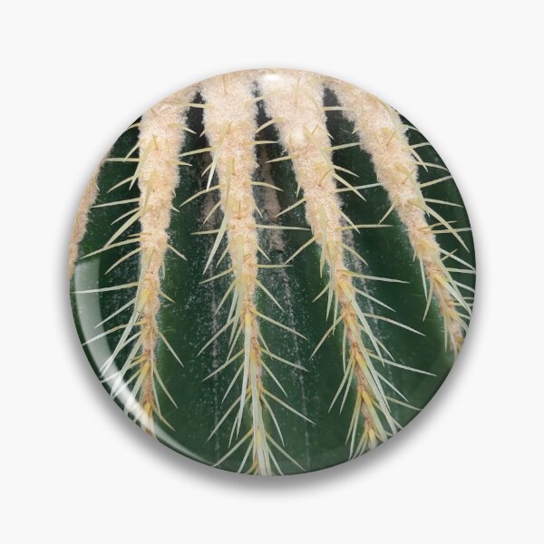 Item preview, close up of cactus, cactus, plant, nature, desert, sharp, thorn, botany, cacti, closeup, garden, succulent, prickly, flower, flora, needle, detail, botanical, texture, close-up, spine, dry, thorns designed and sold by MartaElezart.