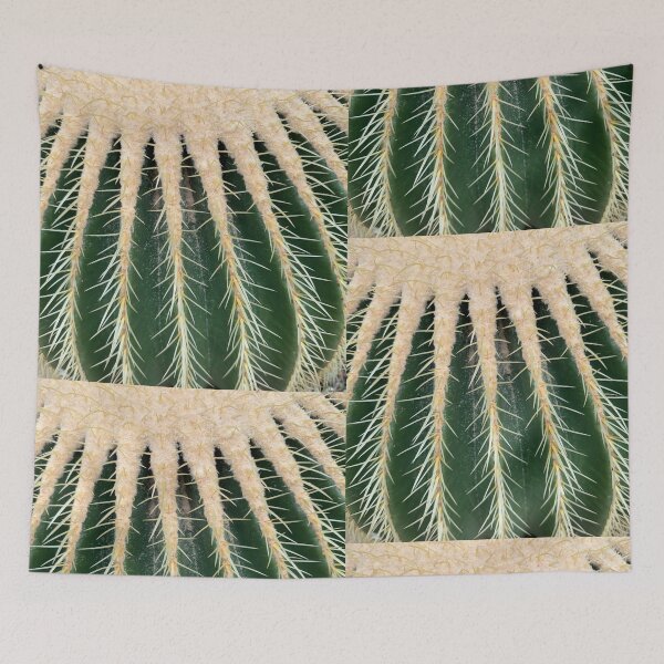 Item preview, close up of cactus, cactus, plant, nature, desert, sharp, thorn, botany, cacti, closeup, garden, succulent, prickly, flower, flora, needle, detail, botanical, texture, close-up, spine, dry, thorns designed and sold by MartaElezart.