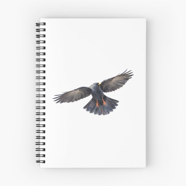 Item preview, Alpine Chough (Pyrrhocorax graculus) designed and sold by HOMETOWN86.