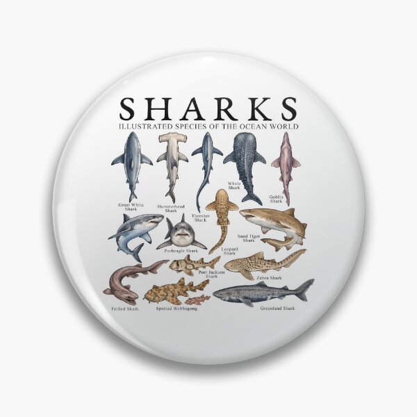 Item preview, Sharks Illustrated Species of The Ocean World designed and sold by TheIMES.