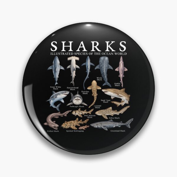 Item preview, Sharks Illustrated Species of The Ocean World designed and sold by TheIMES.