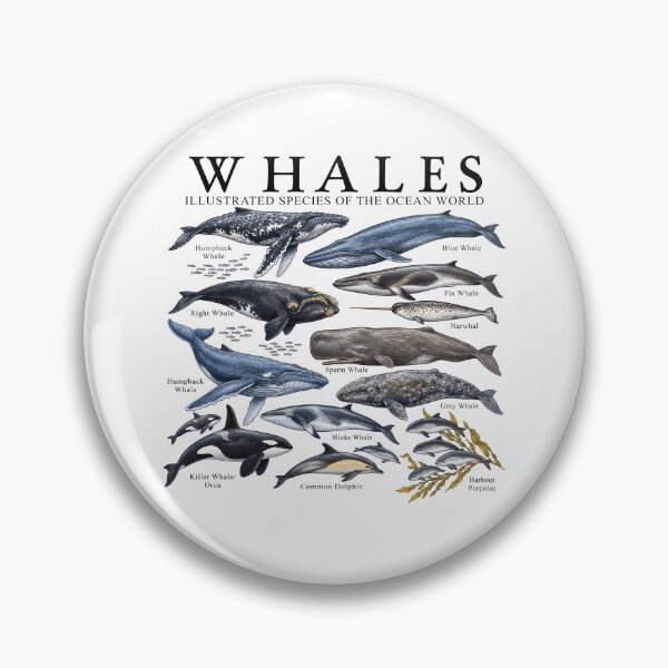 Item preview, Whale Illustrated Species of The Ocean World designed and sold by TheIMES.