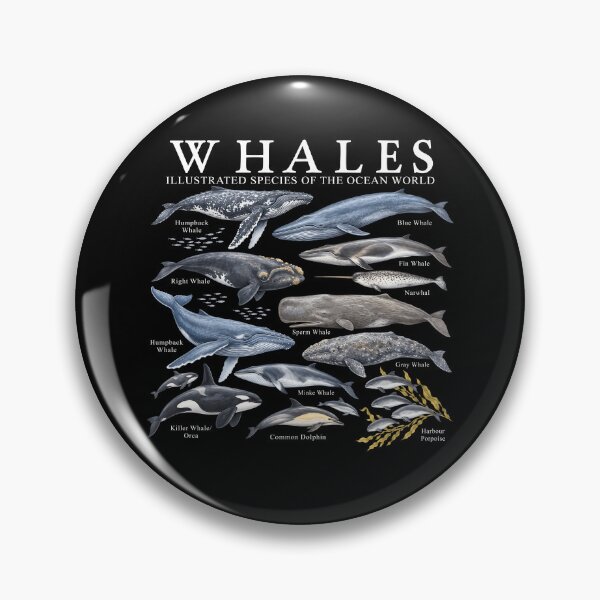 Item preview, Whale Illustrated Species of The Ocean World designed and sold by TheIMES.