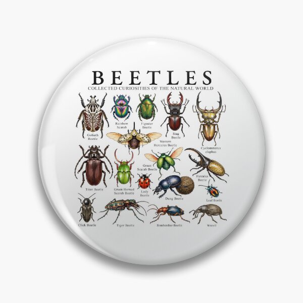 Item preview, Beetles Collected Curiosities Of The Natural World designed and sold by TheIMES.