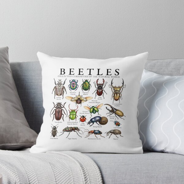 Item preview, Beetles Collected Curiosities Of The Natural World designed and sold by TheIMES.