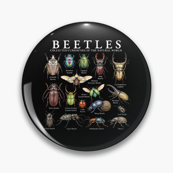 Item preview, Beetles Collected Curiosities Of The Natural World designed and sold by TheIMES.