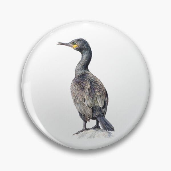 Item preview, European Shag (Gulosus aristotelis) designed and sold by HOMETOWN86.