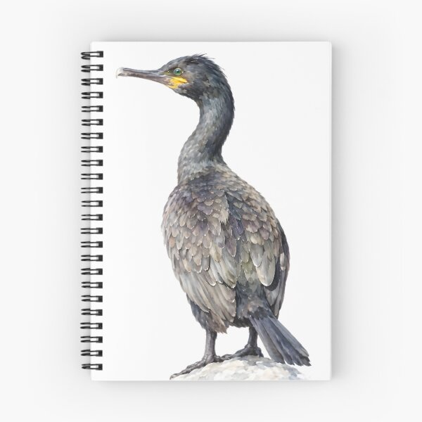 Item preview, European Shag (Gulosus aristotelis) designed and sold by HOMETOWN86.