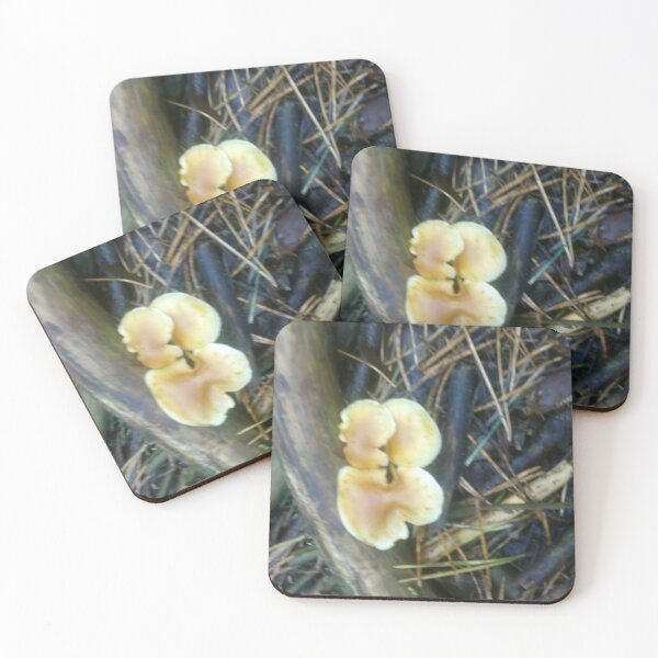 Item preview, Woodland Mushrooms. designed and sold by Am Fear Liath Mòr Designs.