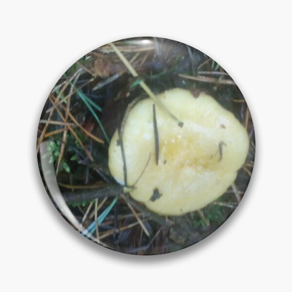 Item preview, Woodland Mushrooms cream in colour designed and sold by Am Fear Liath Mòr Designs.