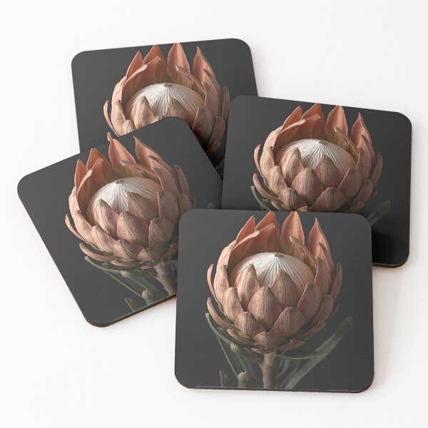 Item preview, The Velvet Protea | Luxury Botanical Flower Wall Art designed and sold by VeloraNature.