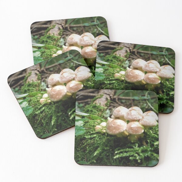 Item preview, Woodland Mushrooms Cream and Green designed and sold by Am Fear Liath Mòr Designs.
