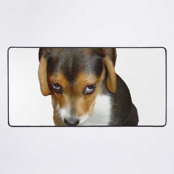 Item preview, Sad beagle designed and sold by anacdg.