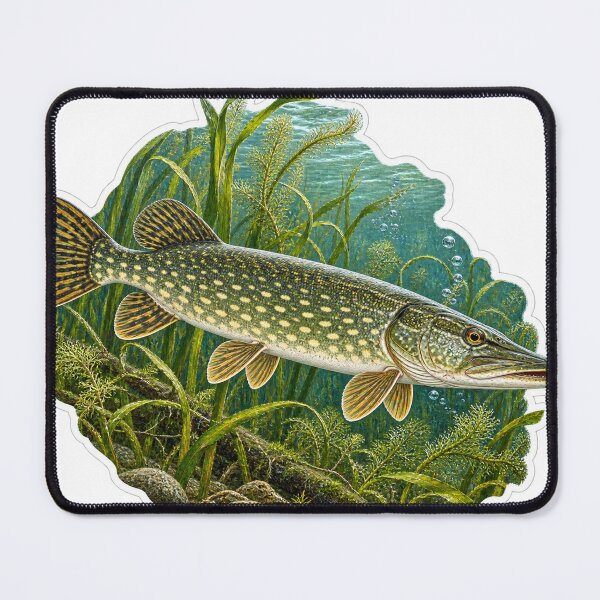 Item preview, Jack fish/ pike designed and sold by FriendlyManitoba.