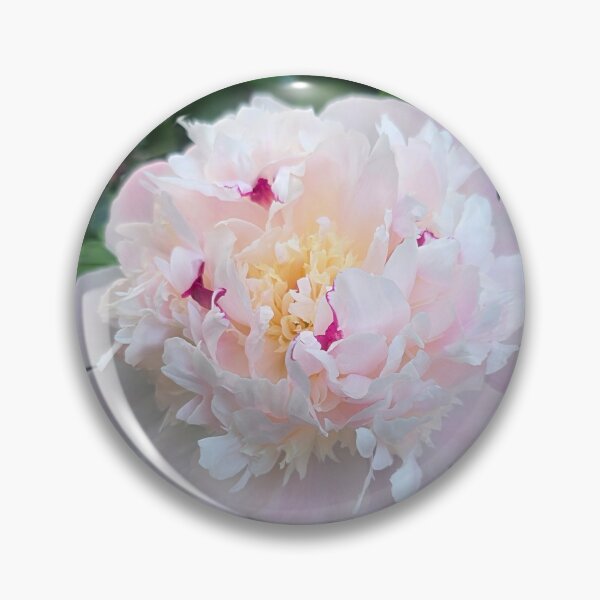 Item preview, Shirley Temple Peony flower against its foliage designed and sold by BrizzlePix.