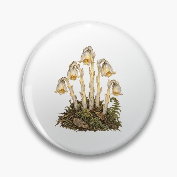 Item preview, Ghost Pipe Botanical | Vintage Woodland Plant Art | Forest Naturalist Gift designed and sold by Brackenlume Studio.