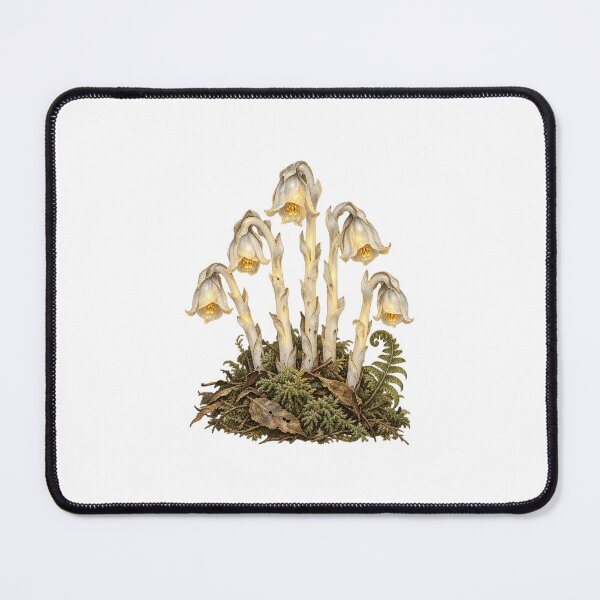 Item preview, Ghost Pipe Botanical | Vintage Woodland Plant Art | Forest Naturalist Gift designed and sold by Brackenlume Studio.