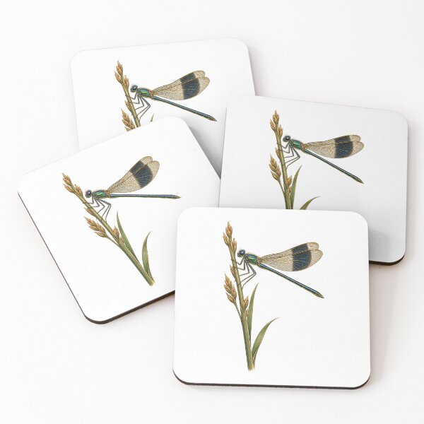 Item preview, Damselfly Specimen | Vintage Entomology Insect Art | Insect Collector Gift designed and sold by Brackenlume Studio.